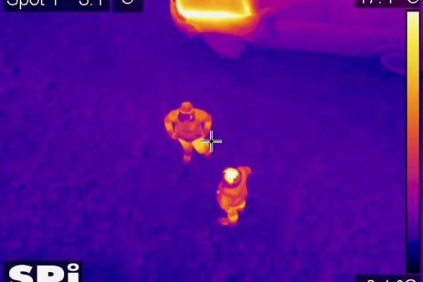 Temperature detection color spectrum thermal vision SPI